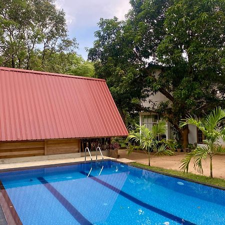 Habarana New Star Homestay Dış mekan fotoğraf