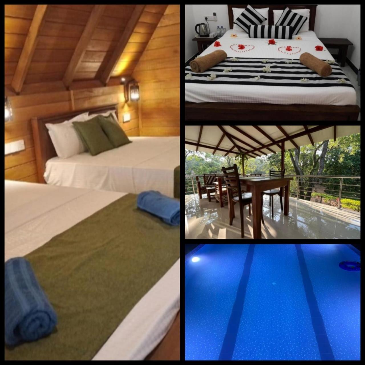 Habarana New Star Homestay Dış mekan fotoğraf