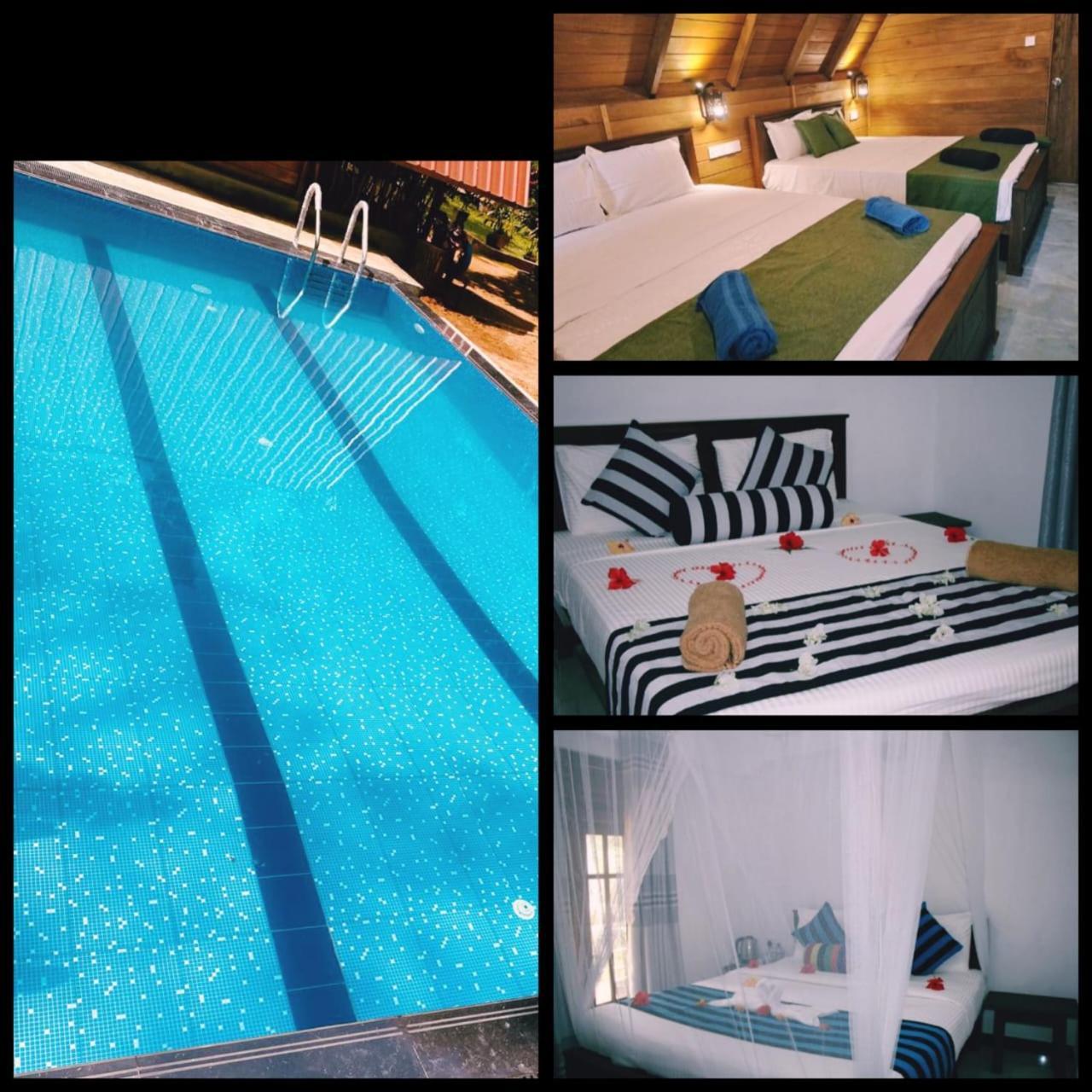 Habarana New Star Homestay Dış mekan fotoğraf