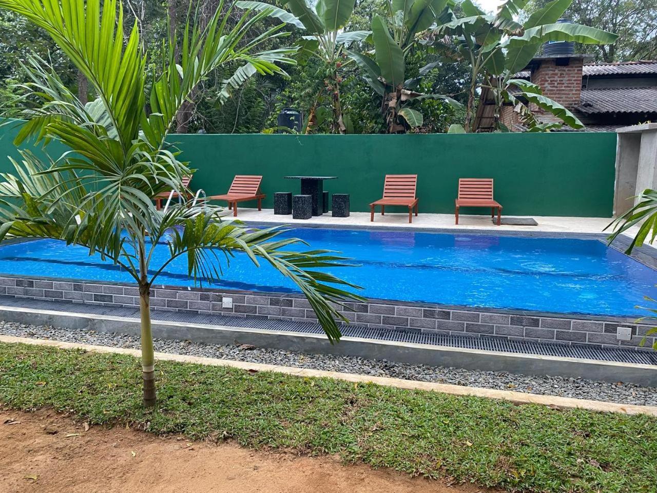 Habarana New Star Homestay Dış mekan fotoğraf