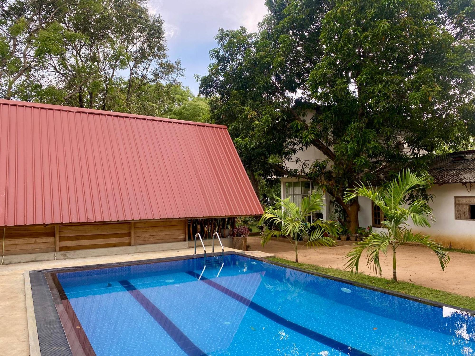 Habarana New Star Homestay Dış mekan fotoğraf