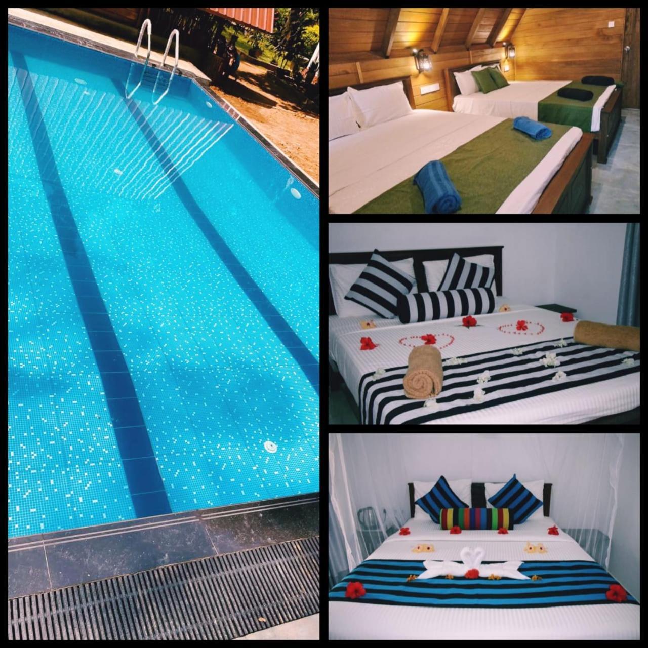 Habarana New Star Homestay Dış mekan fotoğraf